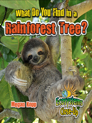 cover image of What Do You Find in a Rainforest Tree?